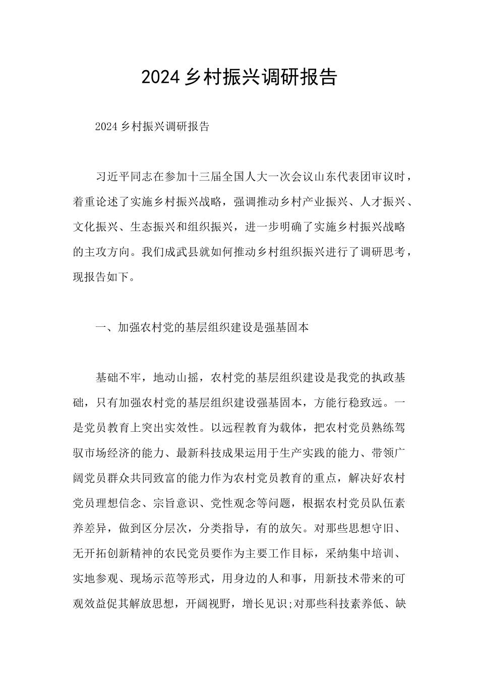 2024乡村振兴调研报告_第1页