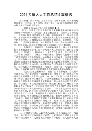2024乡镇人大工作总结5篇精选