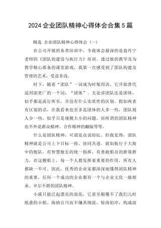 2024企业团队精神心得体会合集5篇