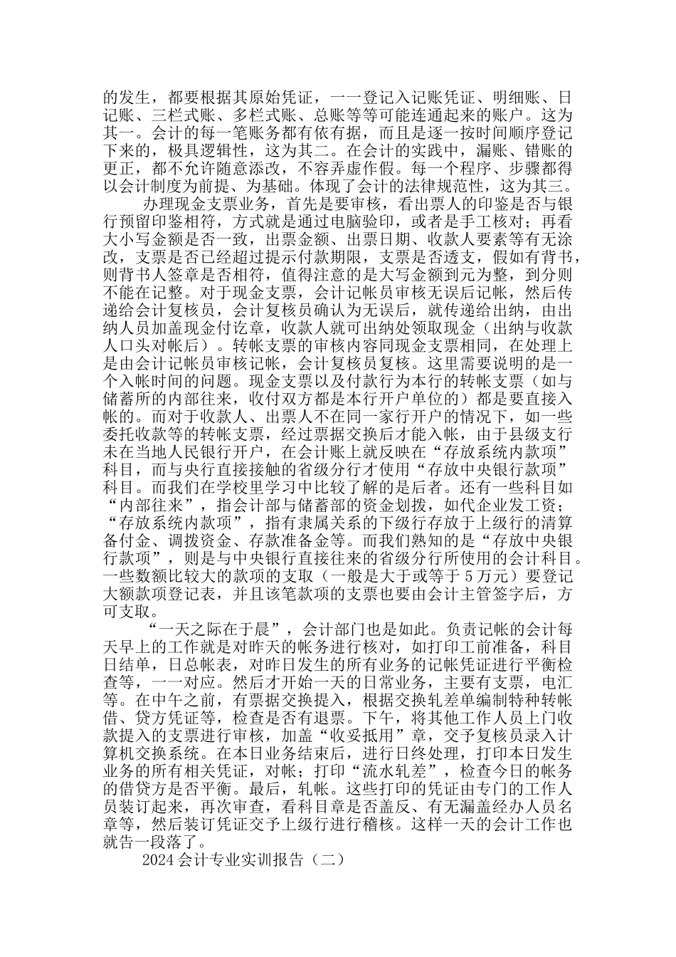 2024会计专业实训报告_第2页