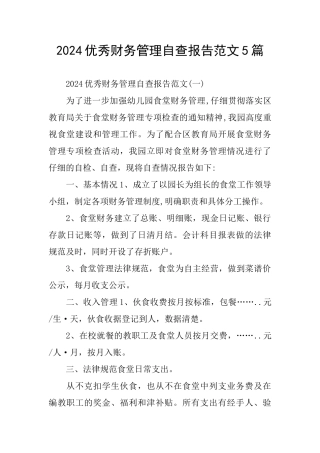 2024优秀财务管理自查报告范文5篇