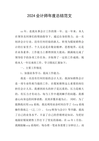 2024会计师年度总结范文