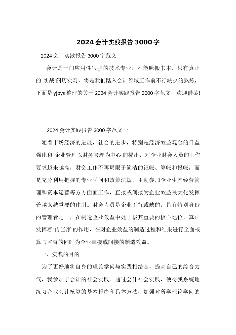 2024会计实践报告3000字_第1页