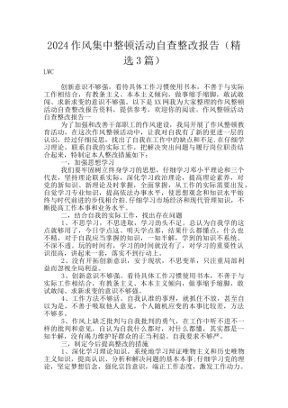 2024作风集中整顿活动自查整改报告