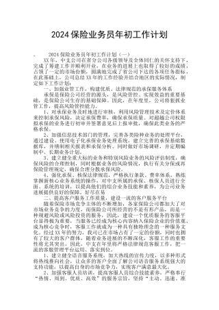 2024保险业务员年初工作计划