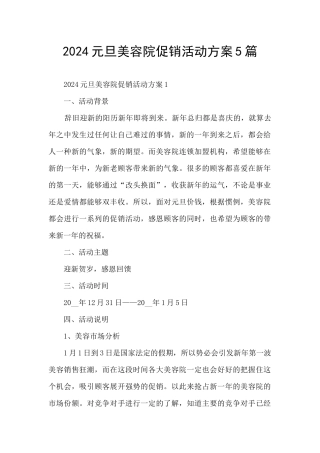 2024元旦美容院促销活动方案5篇