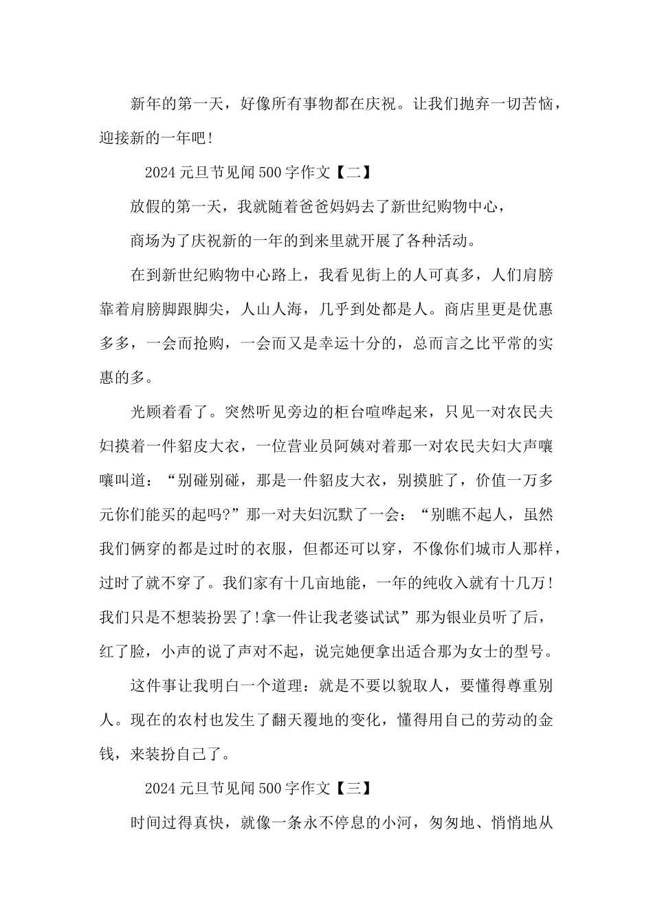 2024元旦节见闻500字作文_第2页