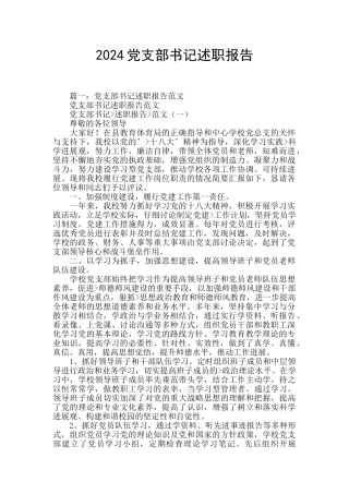 2024党支部书记述职报告