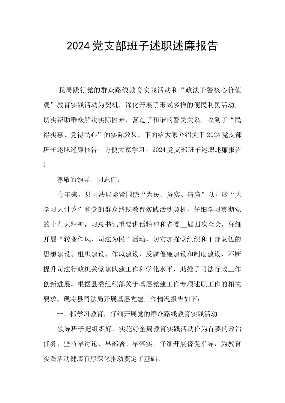 2024党支部班子述职述廉报告_第1页