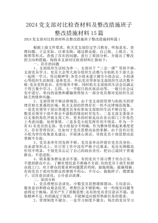2024党支部对照检查材料及整改措施班子整改措施材料15篇