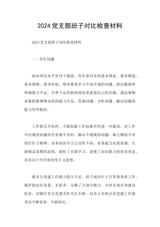 2024党支部班子对照检查材料