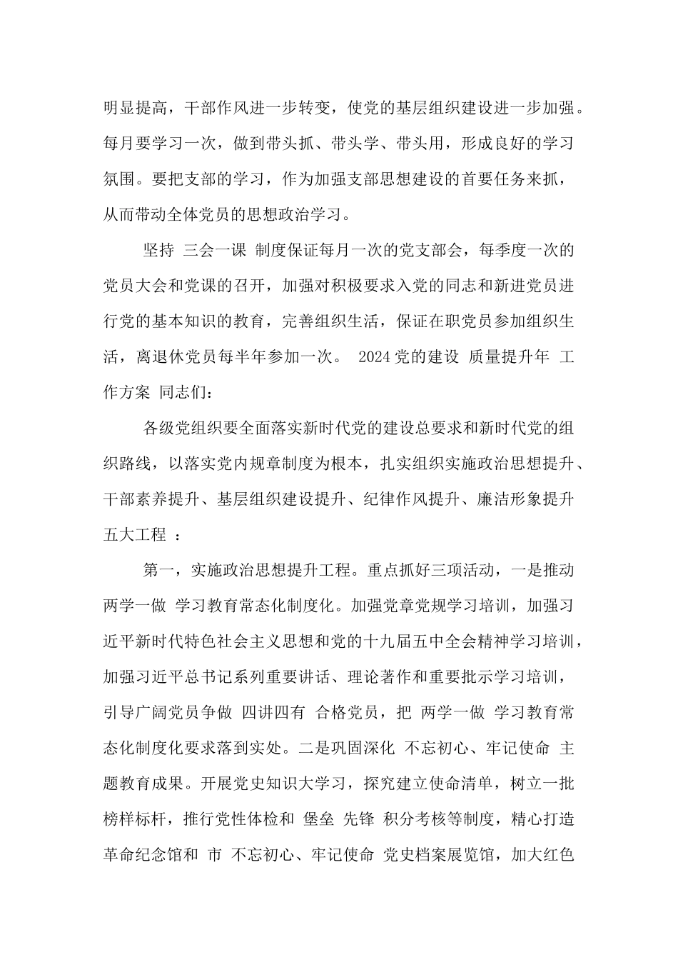 2024党的建设“质量提升年”工作方案_第3页