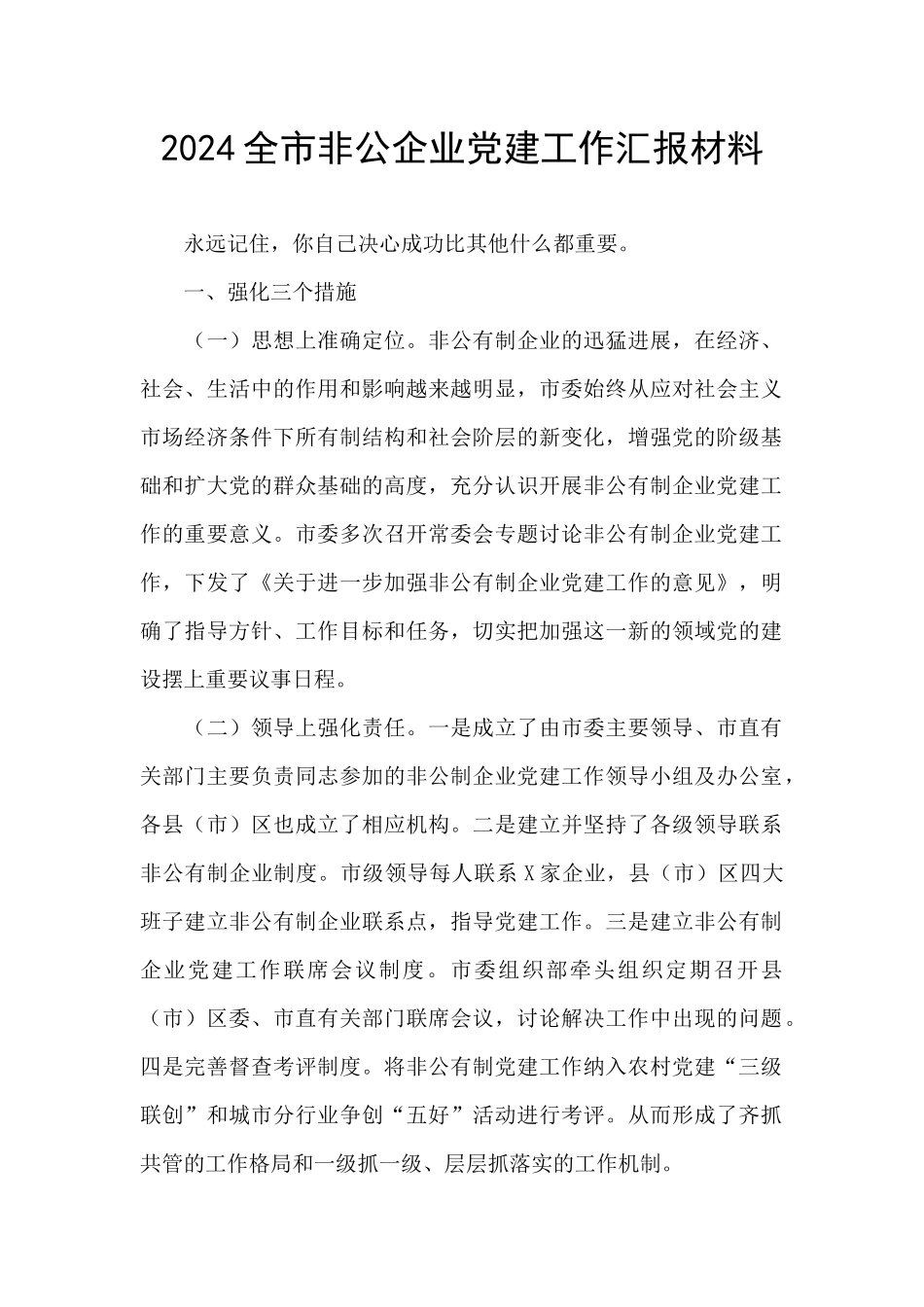 2024全市非公企业党建工作汇报材料_第1页