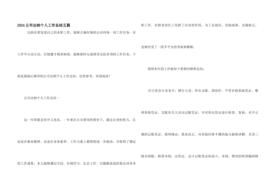 2024公司出纳个人工作总结五篇_第1页