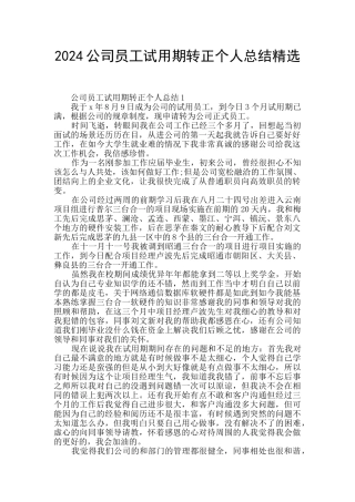 2024公司员工试用期转正个人总结精选