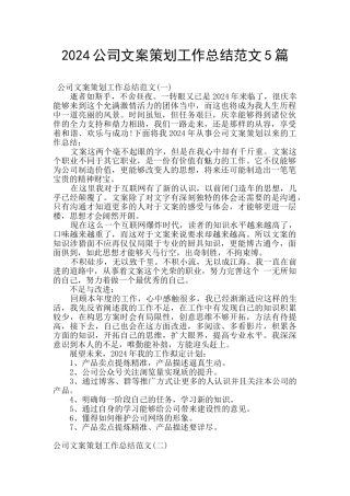 2024公司文案策划工作总结范文5篇