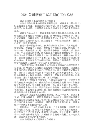 2024公司新员工试用期的工作总结