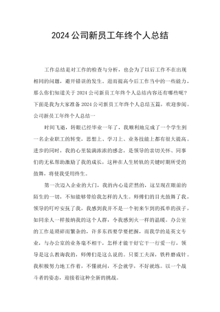 2024公司新员工年终个人总结