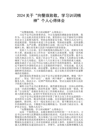 2024关于“向警旗致敬