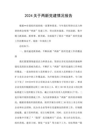 2024关于两新党建情况报告