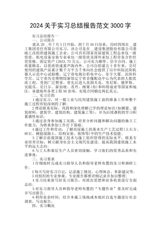 2024关于实习总结报告范文3000字