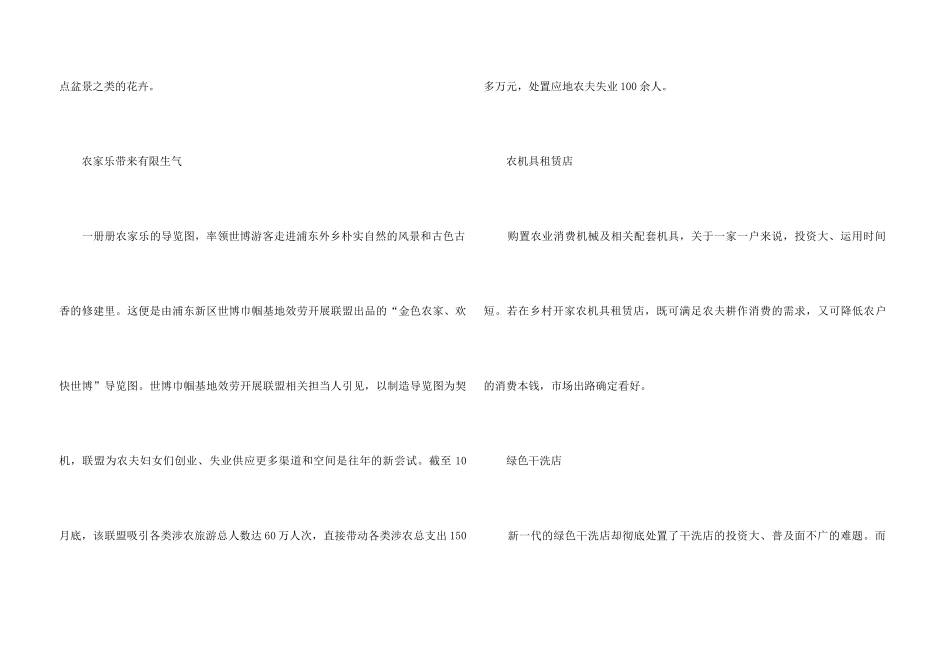 2024农村创业点子大全_第3页