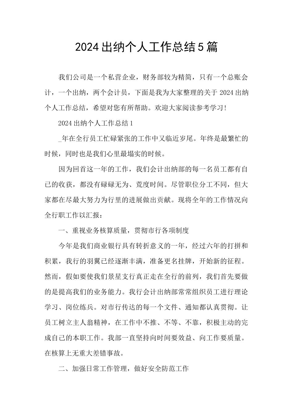2024出纳个人工作总结5篇_第1页