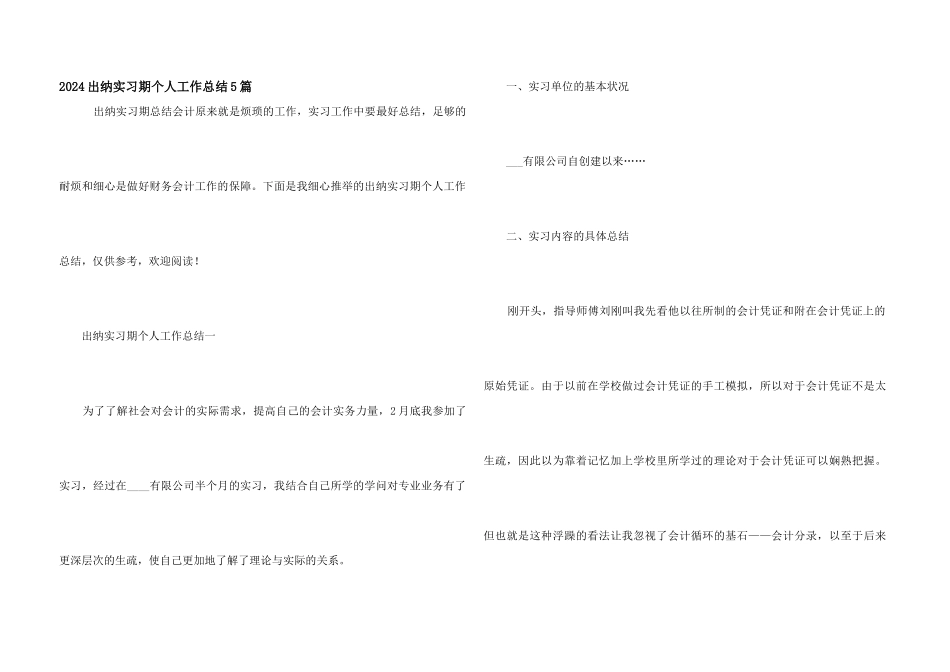 2024出纳实习期个人工作总结5篇_第1页