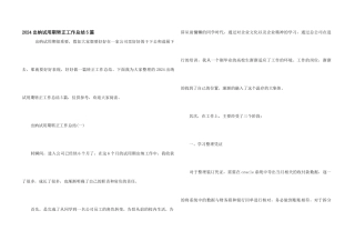 2024出纳试用期转正工作总结5篇