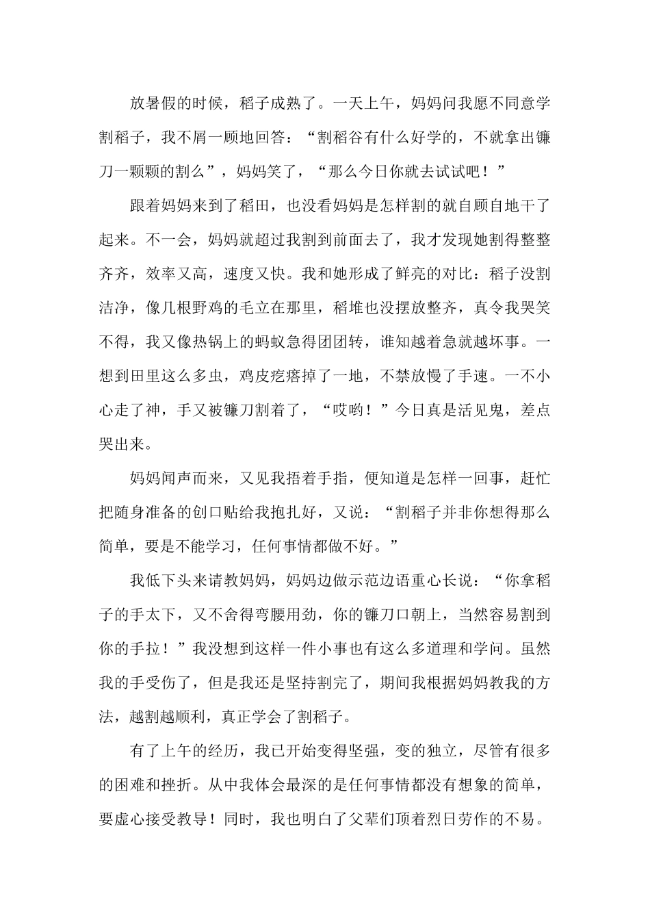 2024劳动节特别节目“中国梦劳动美”观后感及心得经典范文5篇_第3页