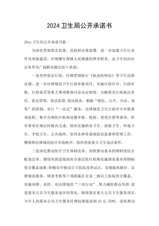 2024卫生局公开承诺书