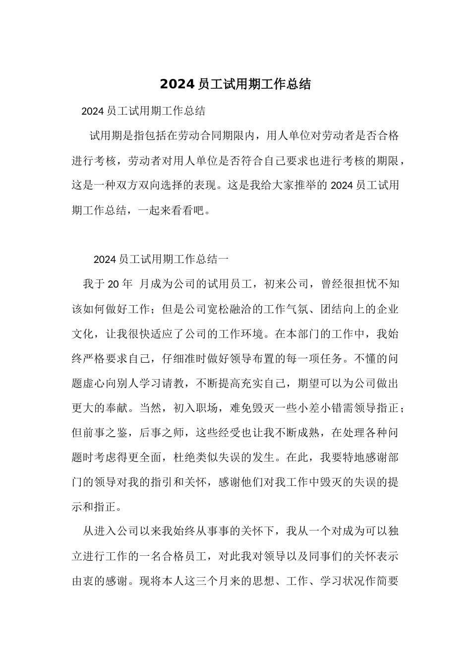 2024员工试用期工作总结-1_第1页