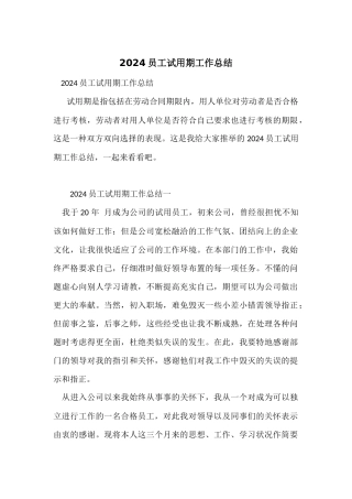 2024员工试用期工作总结-1