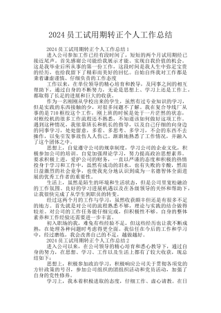 2024员工试用期转正个人工作总结