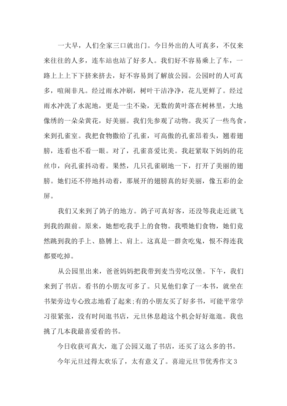 2024喜迎元旦节优秀作文六篇_第2页