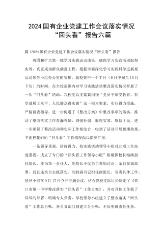 2024国有企业党建工作会议落实情况“回头看”报告六篇