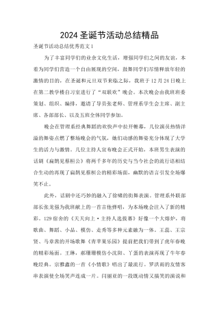 2024圣诞节活动总结精品