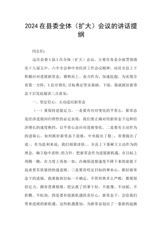 2024在县委全体会议的讲话提纲