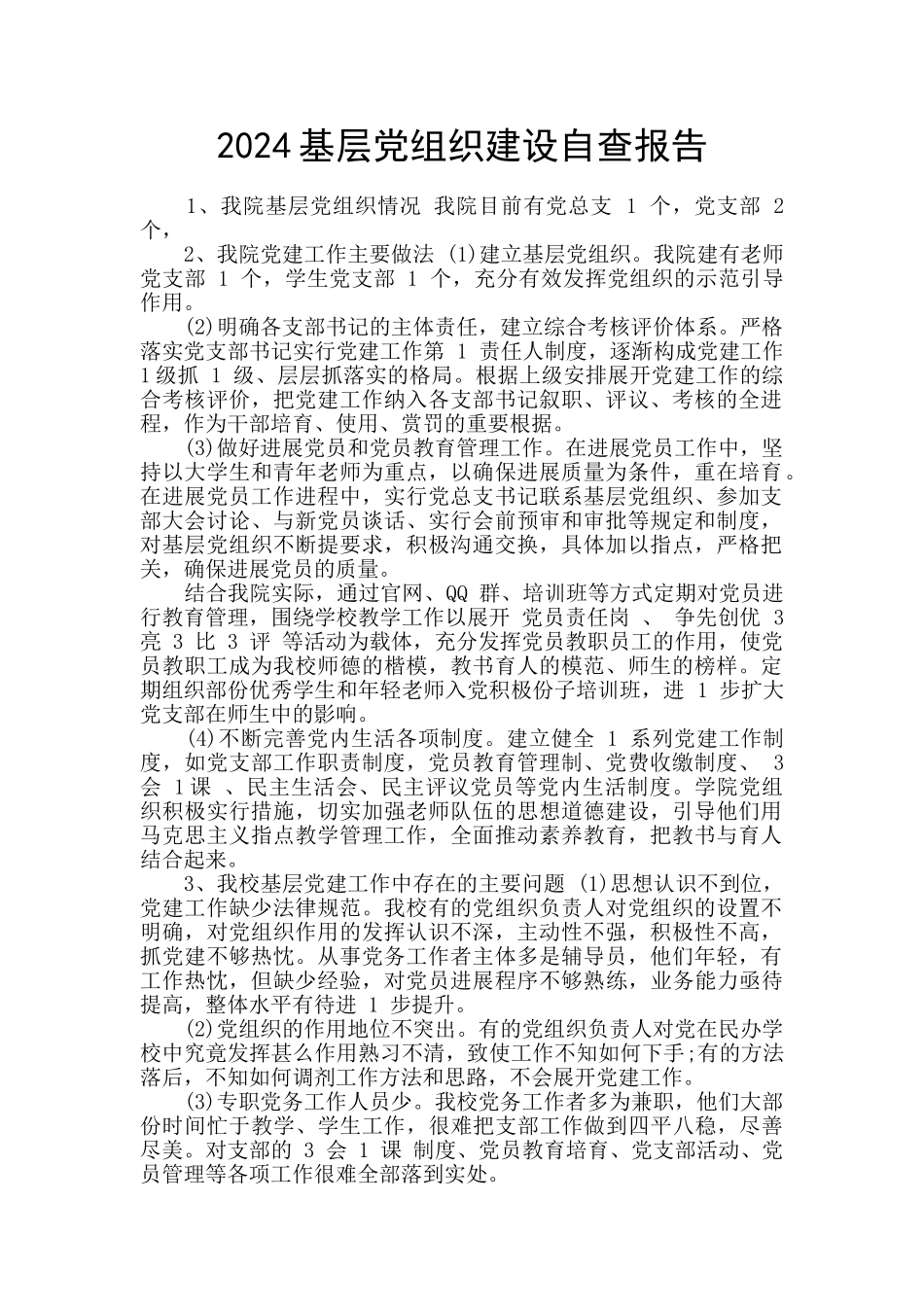 2024基层党组织建设自查报告_第1页