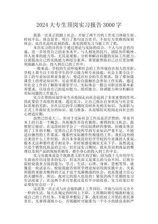 2024大专生顶岗实习报告3000字