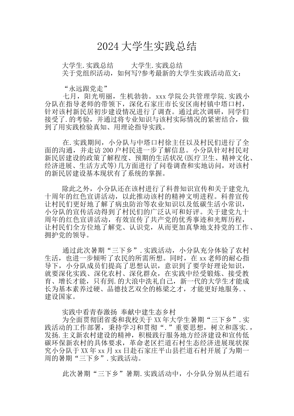 2024大学生实践总结_第1页