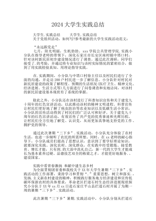 2024大学生实践总结