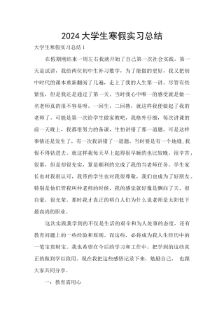 2024大学生寒假实习总结