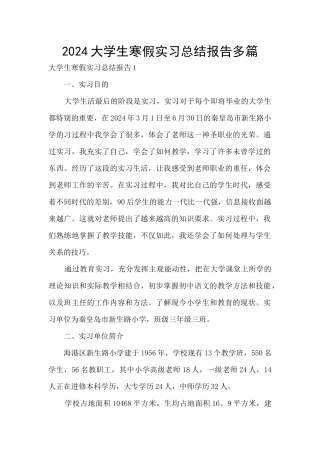 2024大学生寒假实习总结报告多篇