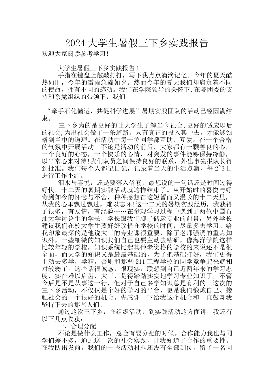 2024大学生暑假三下乡实践报告_第1页