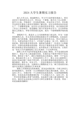 2024大学生暑期实习报告