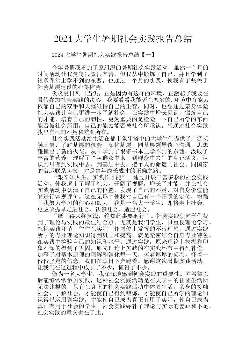 2024大学生暑期社会实践报告总结_第1页
