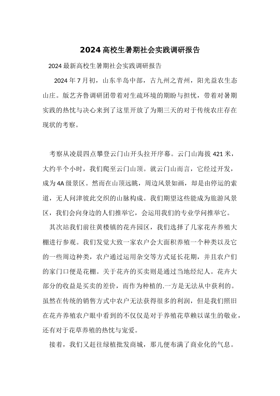 2024大学生暑期社会实践调研报告_第1页