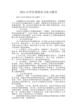 2024大学生顶岗实习实习报告