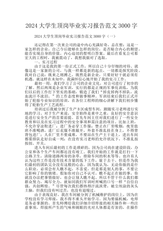 2024大学生顶岗毕业实习报告范文3000字